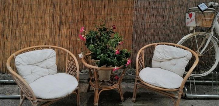 La Marinella Bed & Breakfast Belvedere Marittimo Ngoại thất bức ảnh