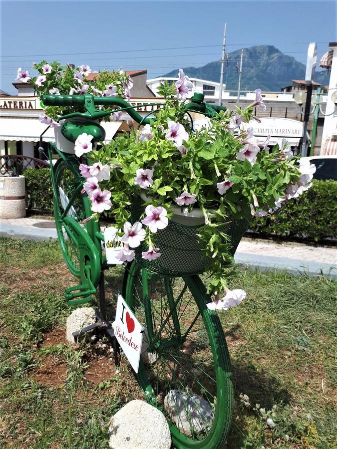 La Marinella Bed & Breakfast Belvedere Marittimo Ngoại thất bức ảnh